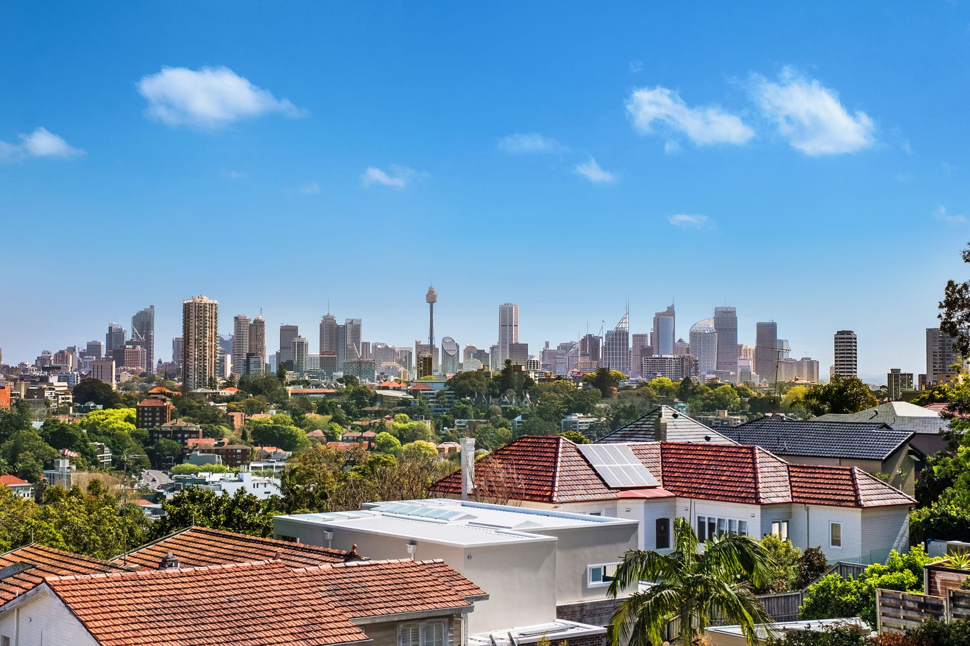 12 Bulkara Road, Bellevue Hill, Bellevue Hill - Thumbnail 5