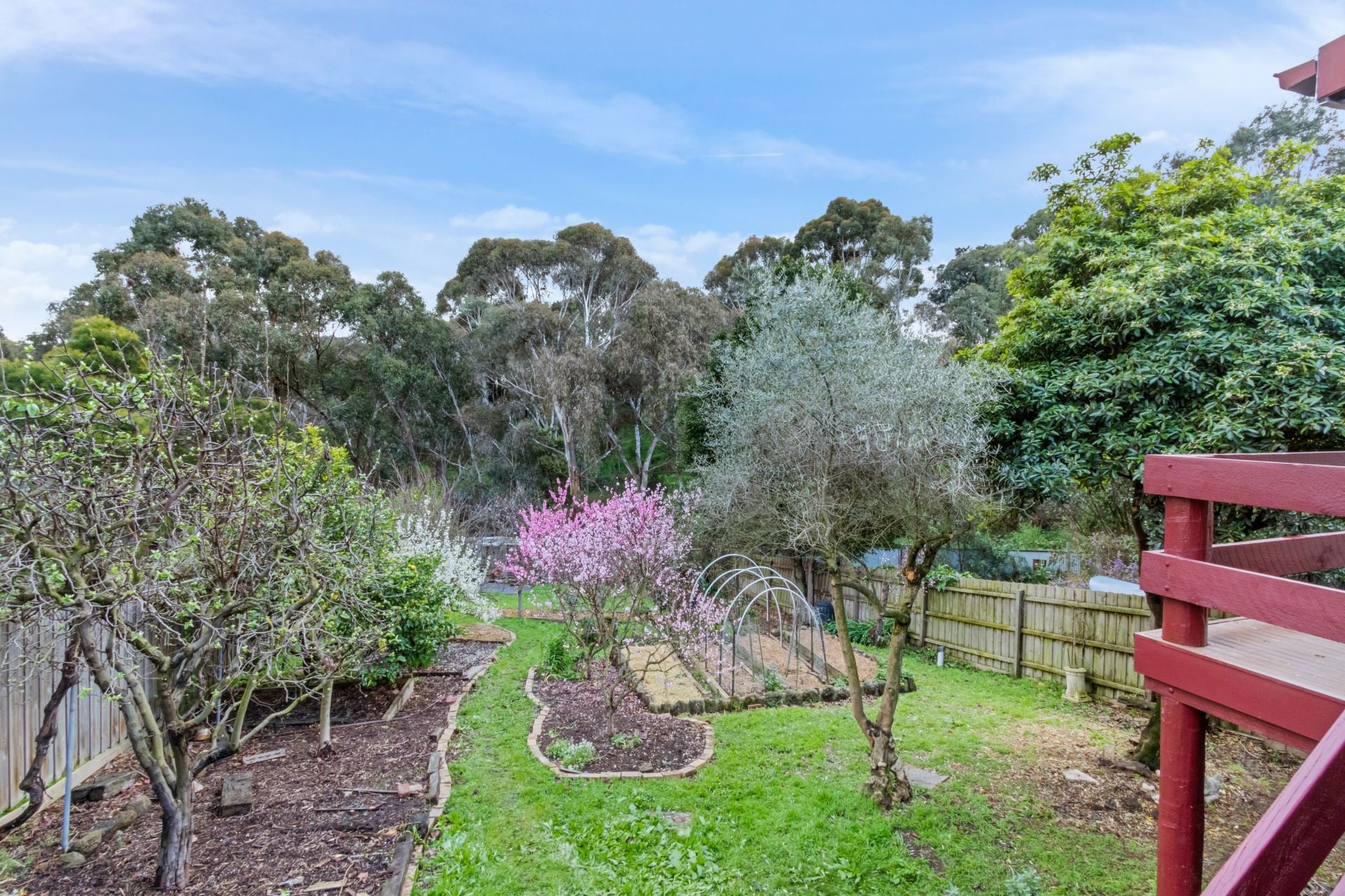 Home Haven on Hopetoun
