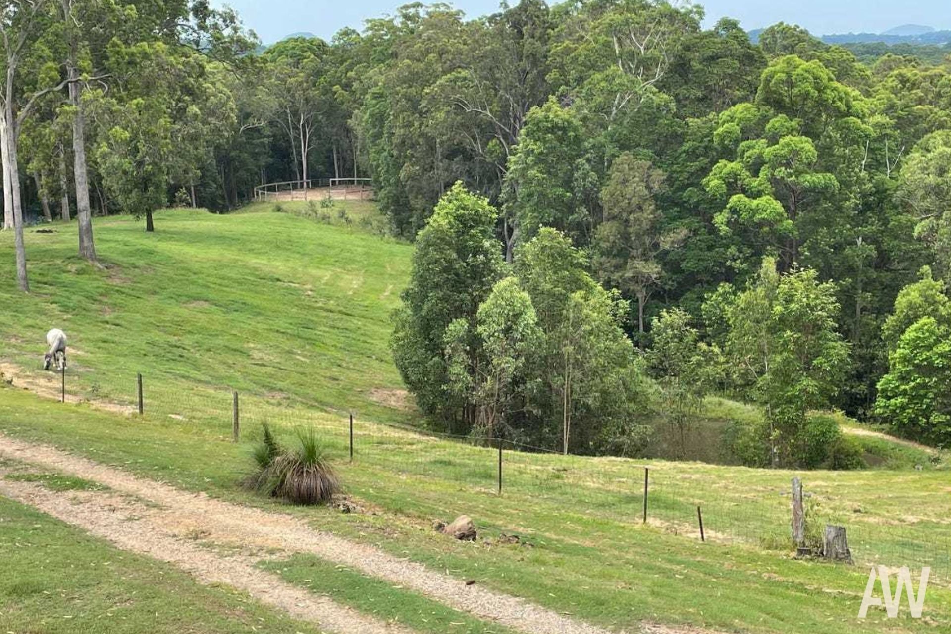 357 Hunchy Road Hunchy QLD, Hunchy - Thumbnail 7