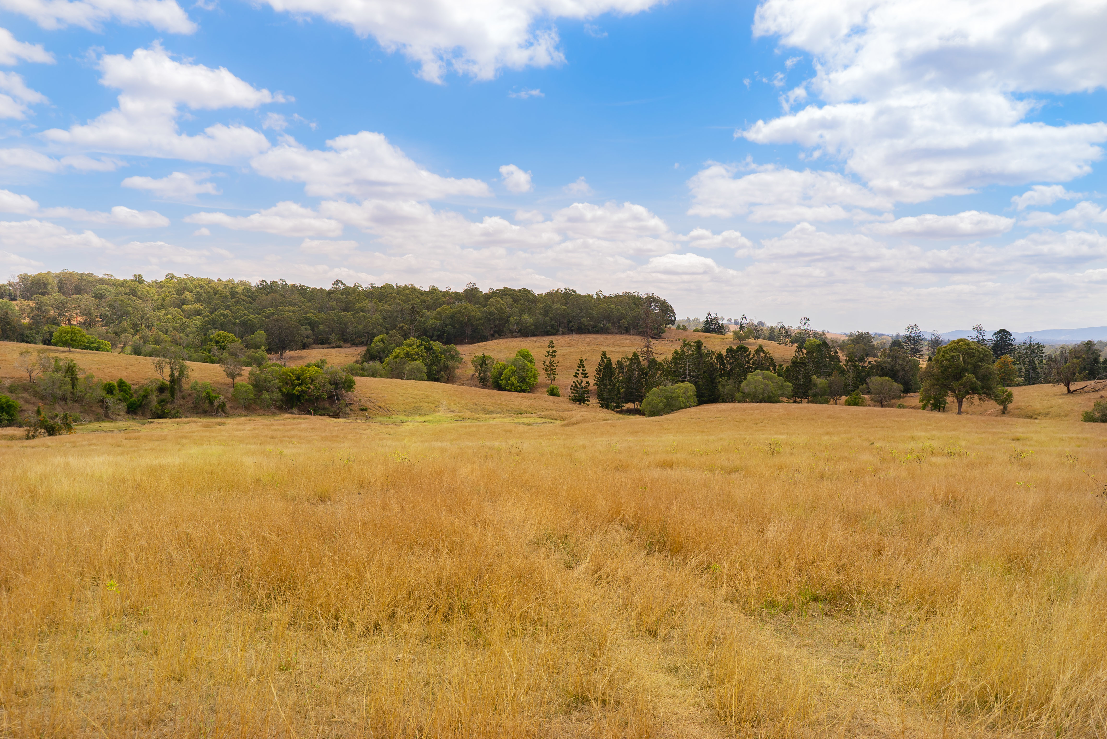 Real Estate For Sale 236 Birnam Range Road Beaudesert , QLD