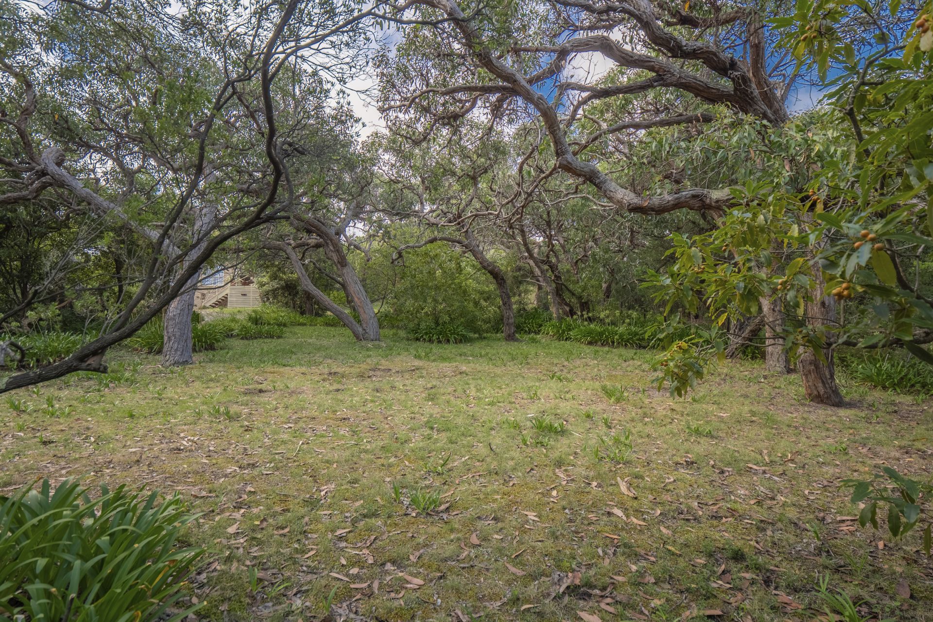 12 Yarringa Road, Fairhaven - Thumbnail 6