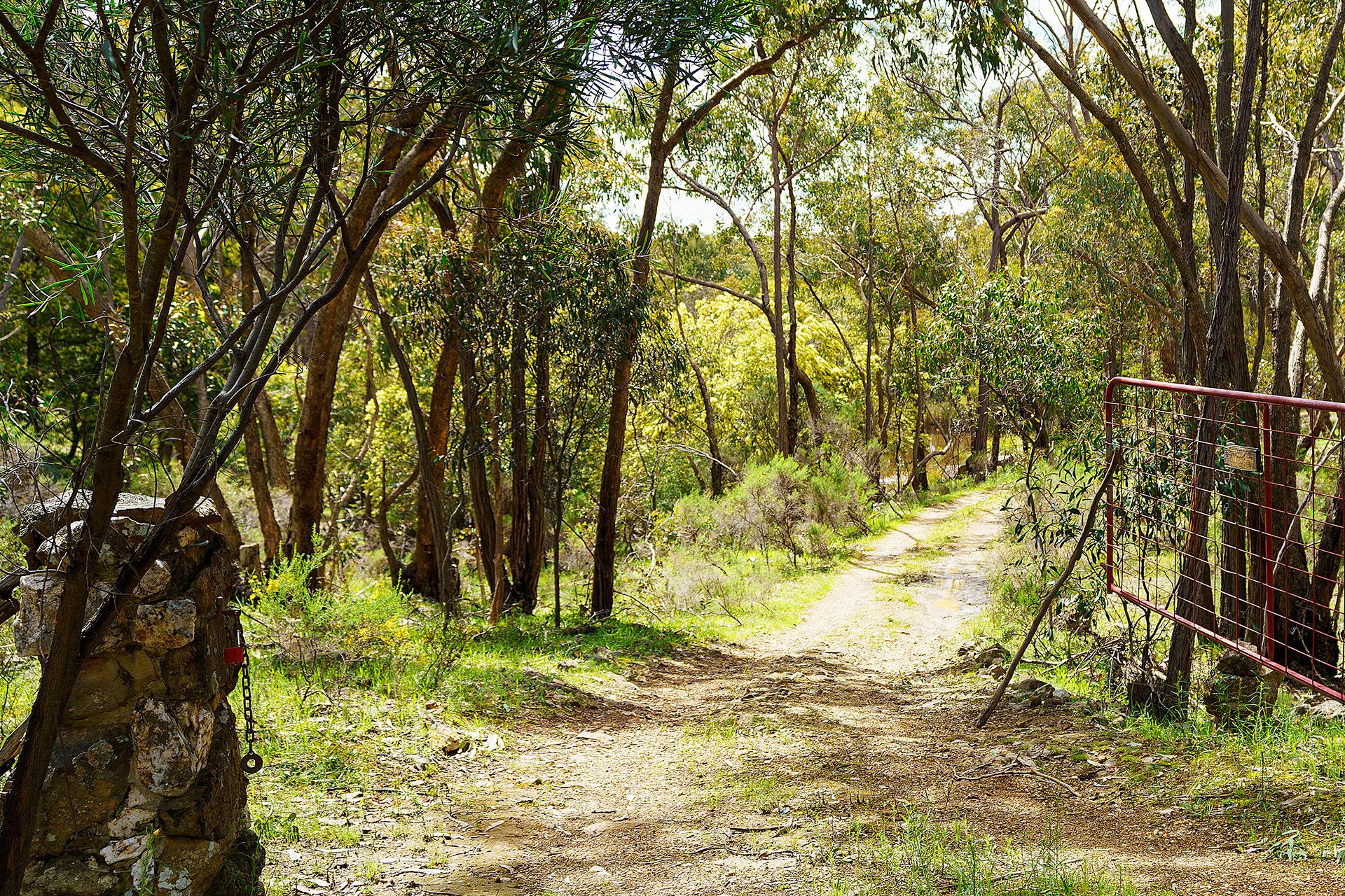 20 Ross Drive, Castlemaine - Thumbnail 3