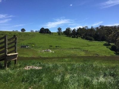* Hardwicks Road, SUNNYSIDE, Sunnyside - Thumbnail 2
