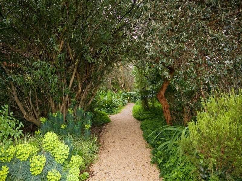  Unley Park 5061