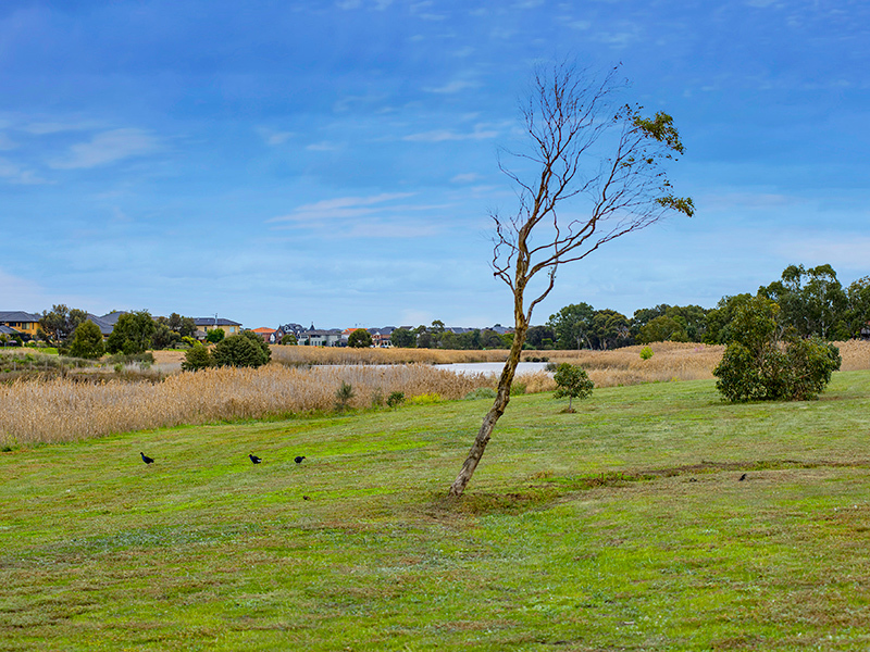 103 Sommers Drive, Altona Meadows - Thumbnail 6