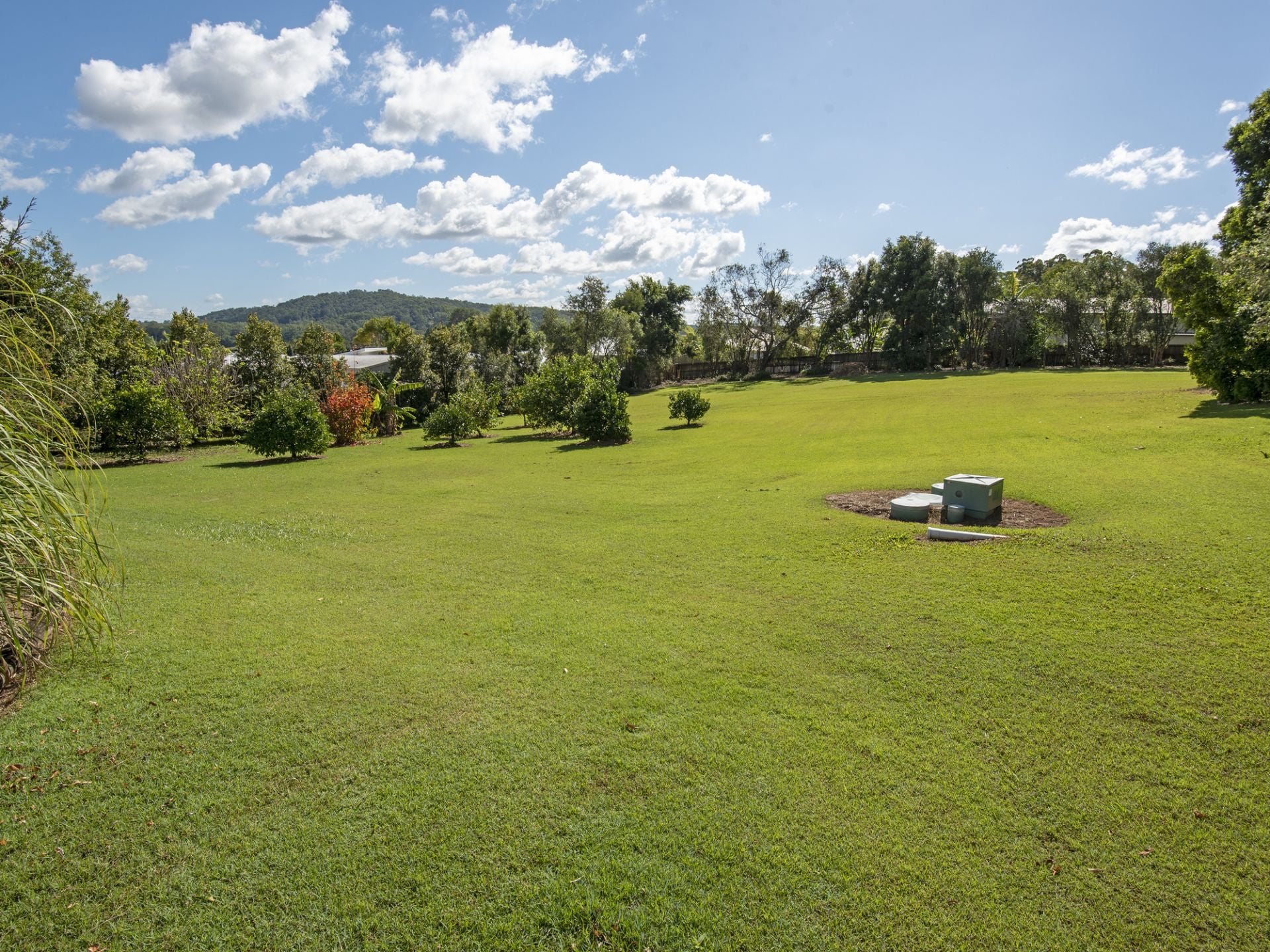 1 & 2/38 Vise Road Forest Glen QLD, Forest Glen - Thumbnail 5