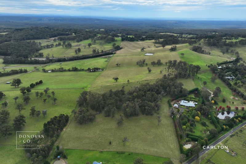 AwardWinning Real Estate Agency Carlton Real Estate