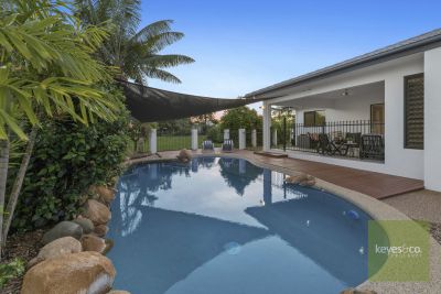 20 Manersley Place, Annandale