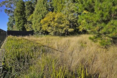 116 Great Western Highway Wentworth Falls 2782