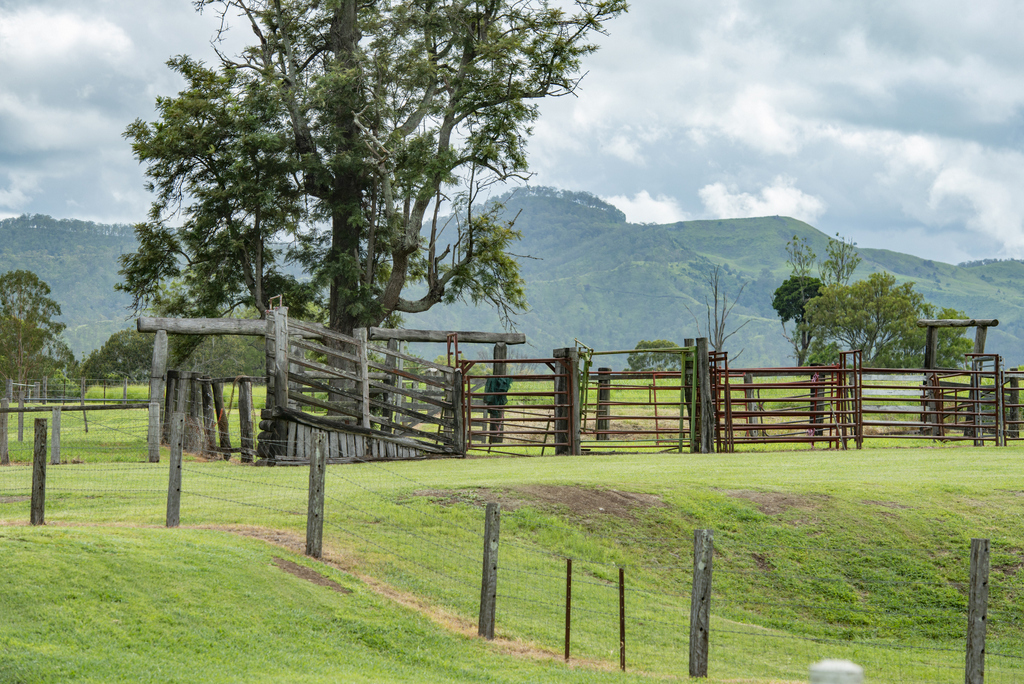 Real Estate For Sale 279 Camp Creek Road Running Creek , QLD