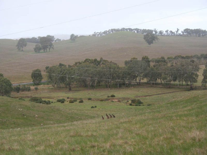 Lot 30 Mount Torrens Road Tungkillo 5236