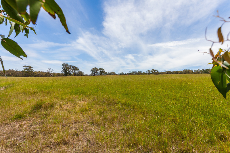 Lot 1, 1265 Winchelsea-Deans Marsh Road, Bambra, VIC, 1265 Winchelsea-Deans Marsh Road Bambra - Thumbnail 2