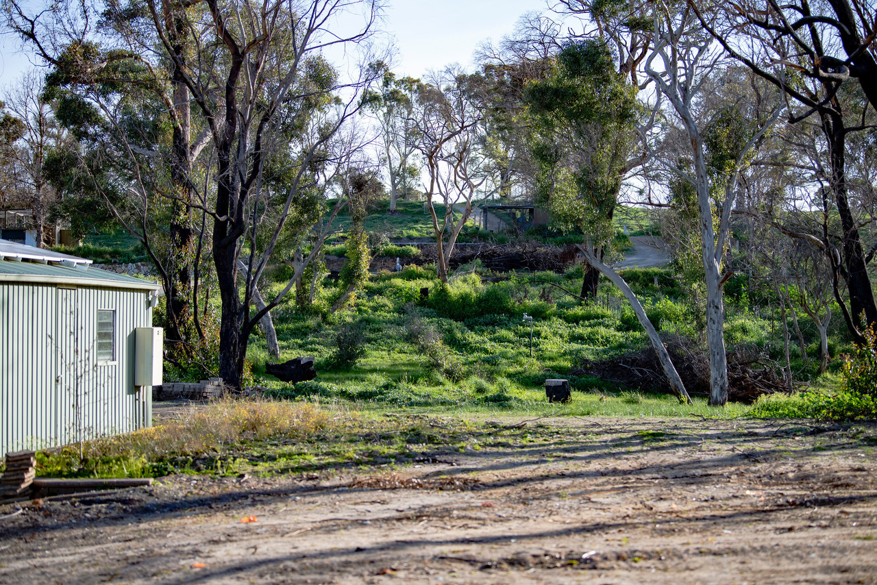 Real Estate For Sale 1 MILL ROAD Lobethal , SA