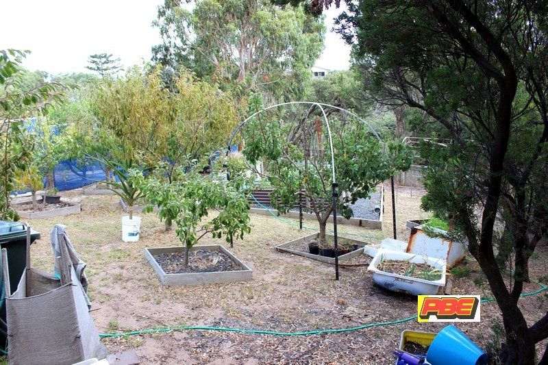 6 Alfred Crescent, Venus Bay PBE Real Estate