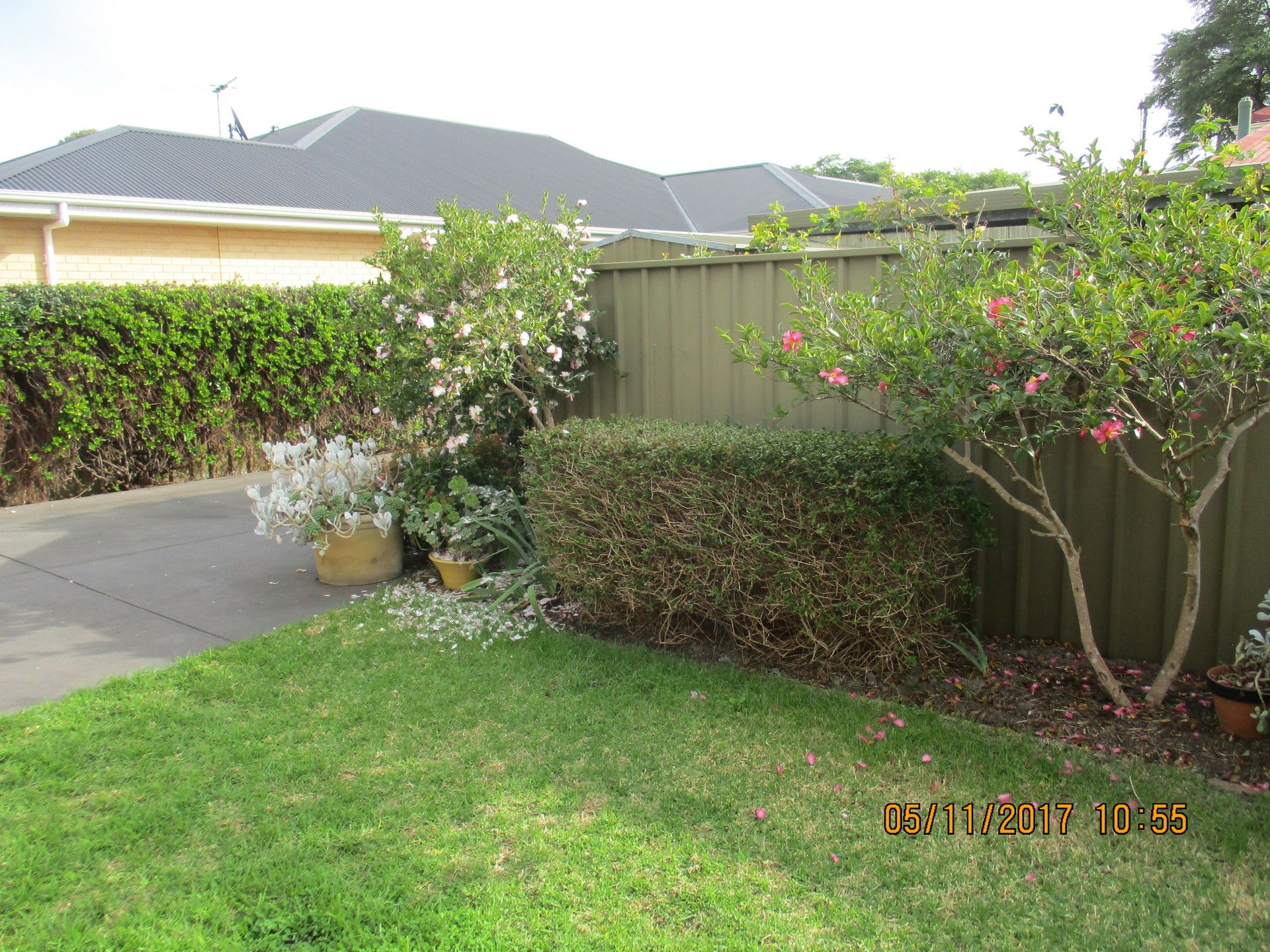 41A Dingera Avenue  North Plympton 5037