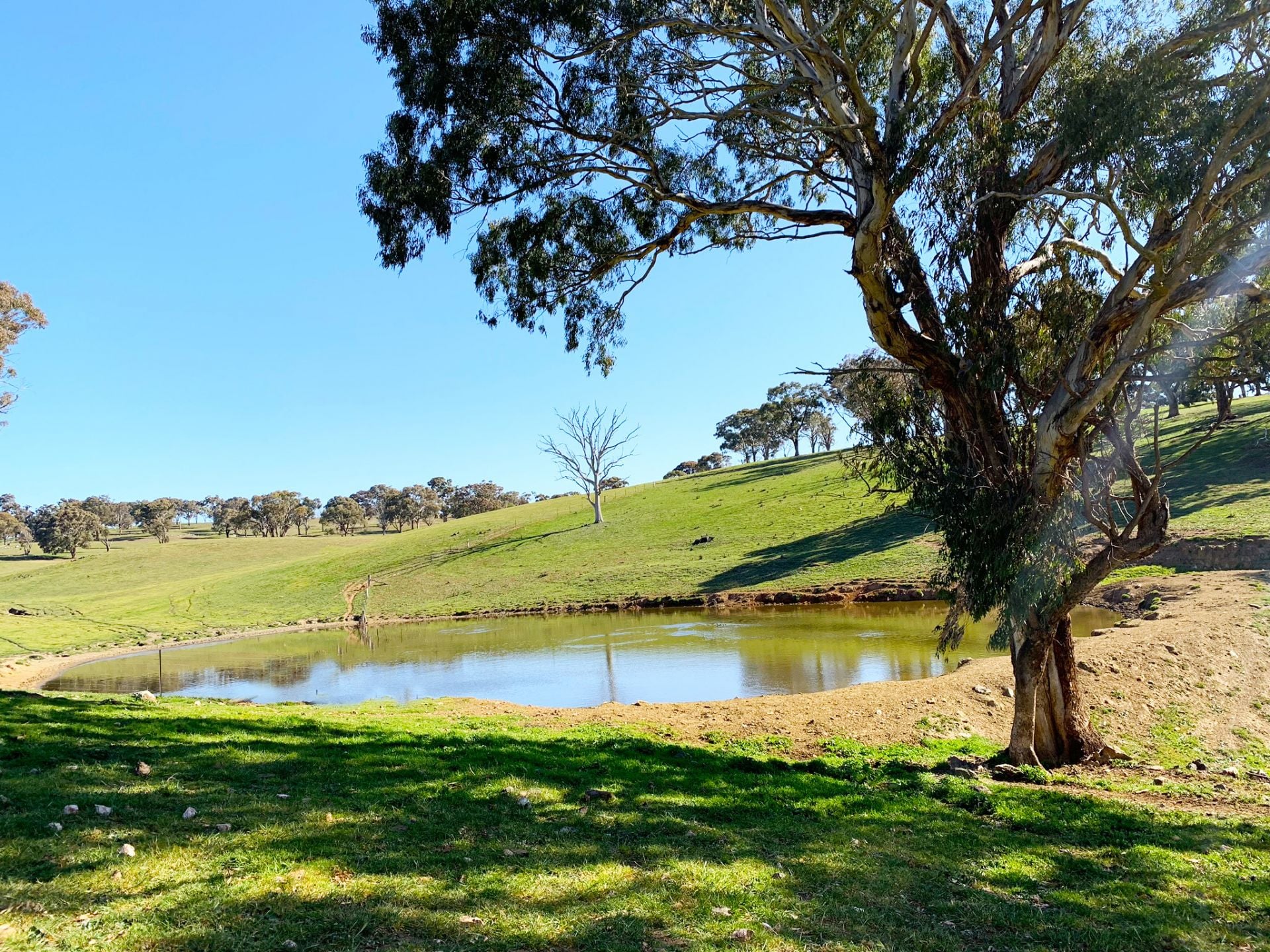 244 Lachlan Road, Bathurst, Bathurst - Thumbnail 4