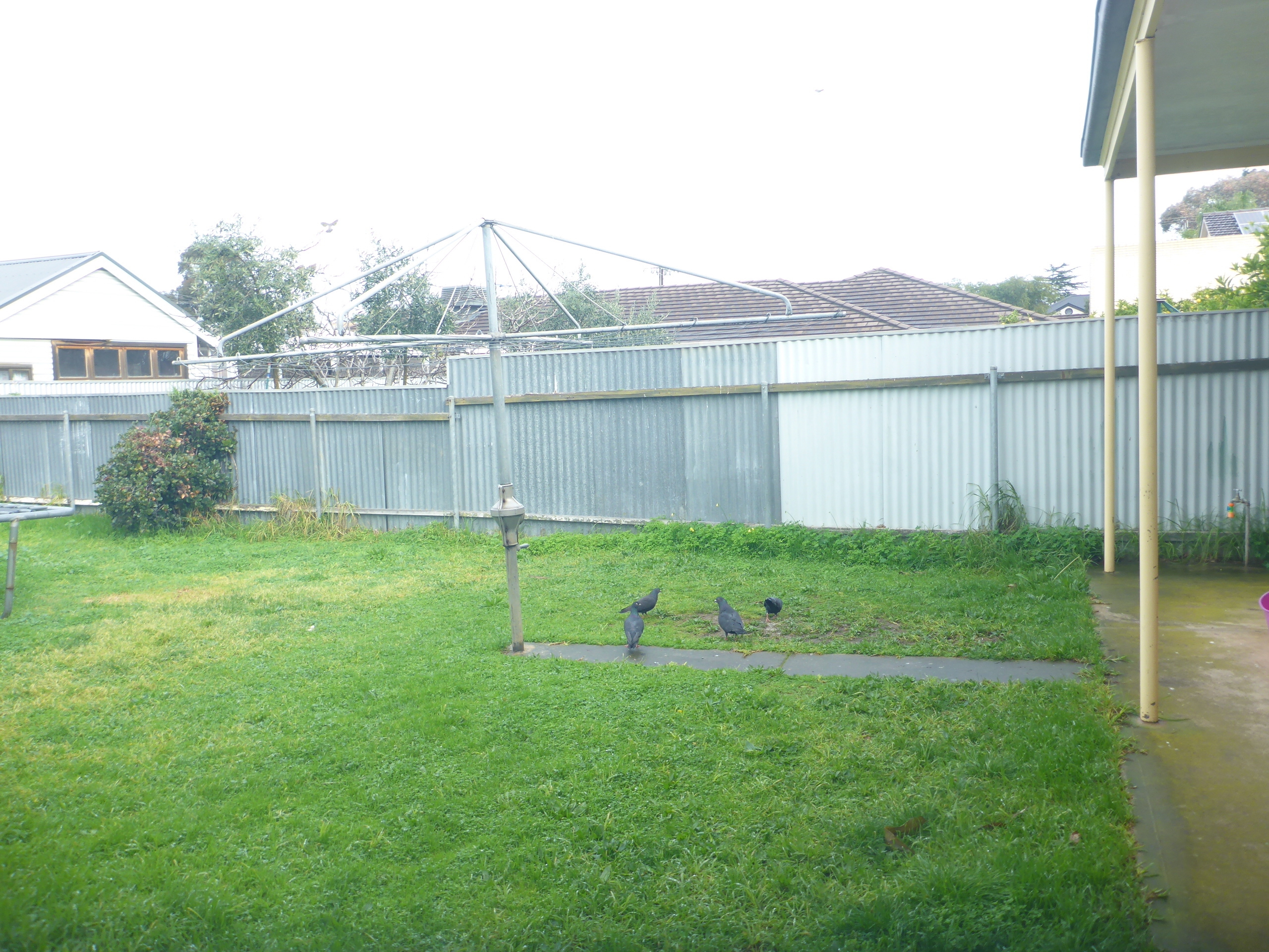 40a  Wolseley Avenue Ascot Park 5043