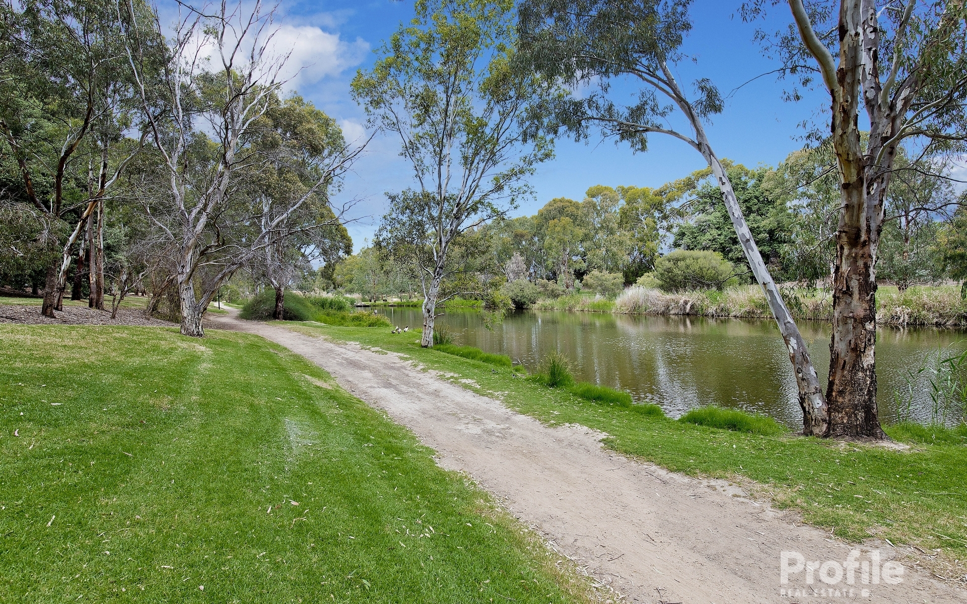 4 Arcoona Avenue Lockleys 5032