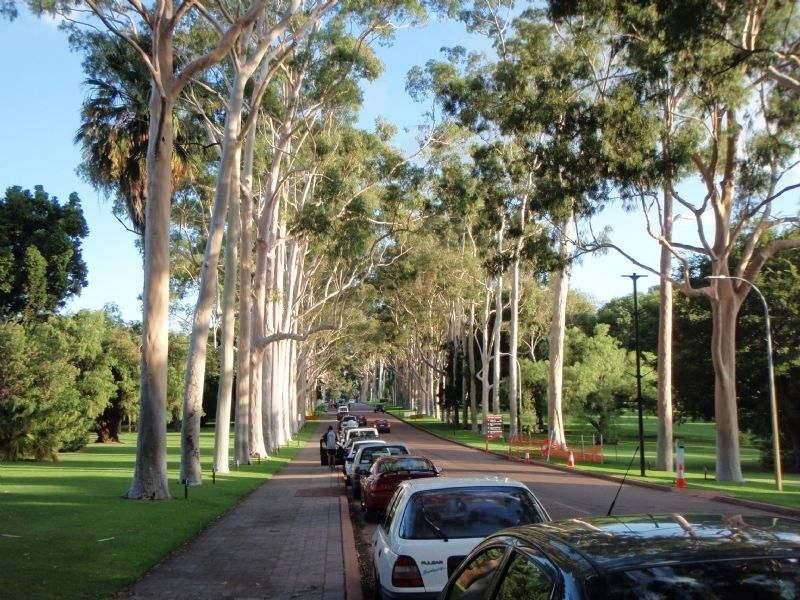 12/1020 Wellington Street West Perth WA, West Perth - Thumbnail 2