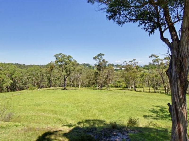 15 Halls Road, Arcadia - Thumbnail 6