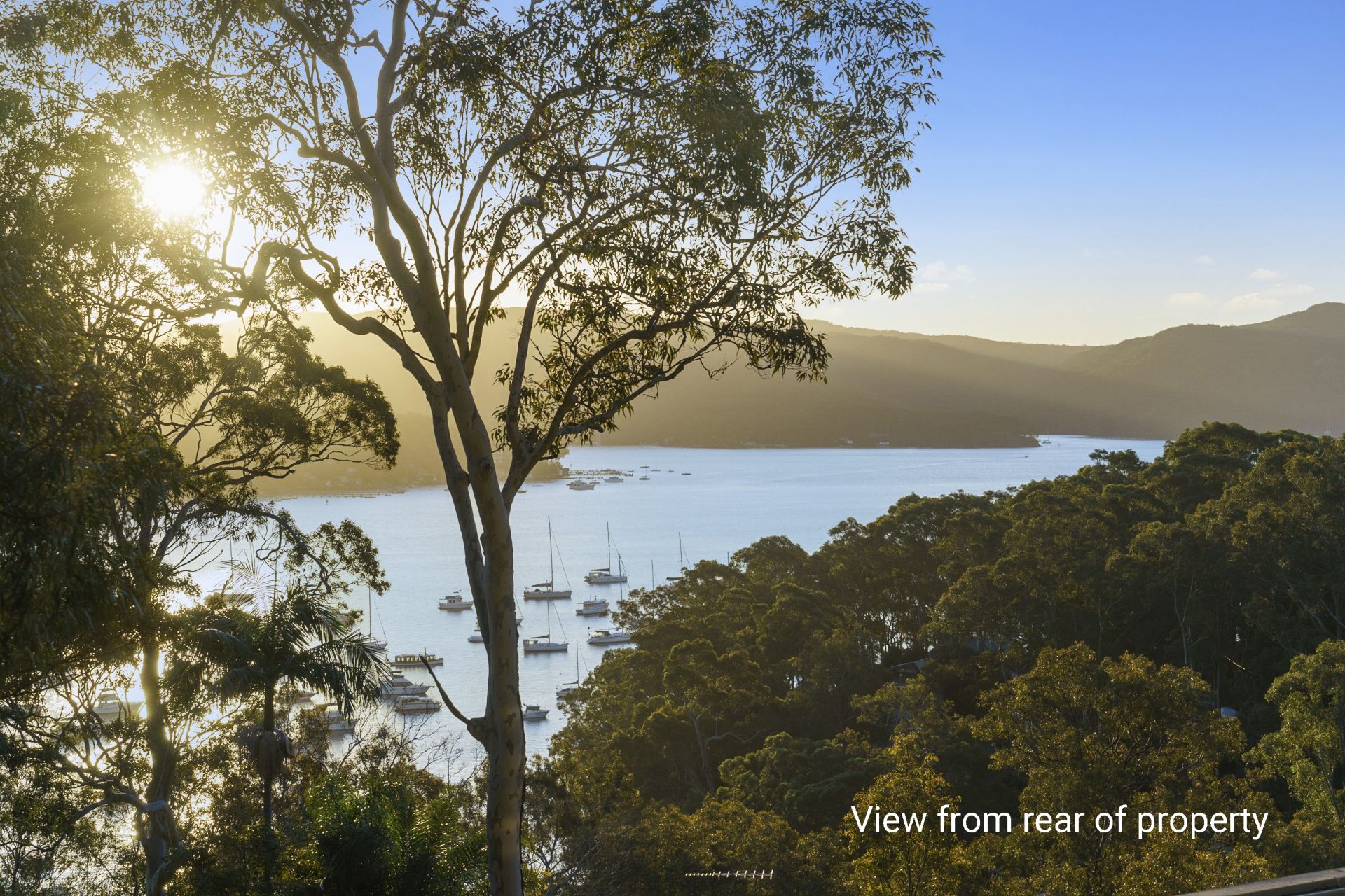 14 De Lauret Avenue Newport NSW 2106, Newport - Thumbnail 4