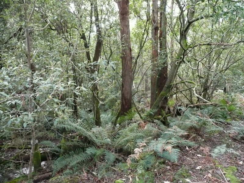 Top Road BLACKWOOD CREEK, Blackwood Creek - Thumbnail 5