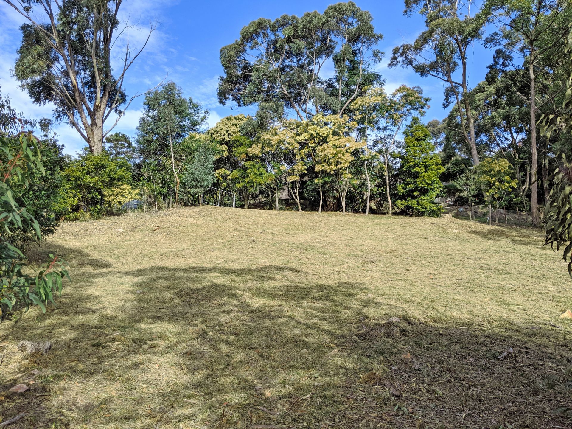 12 Coach House Road, Kurrajong Heights - Thumbnail 3