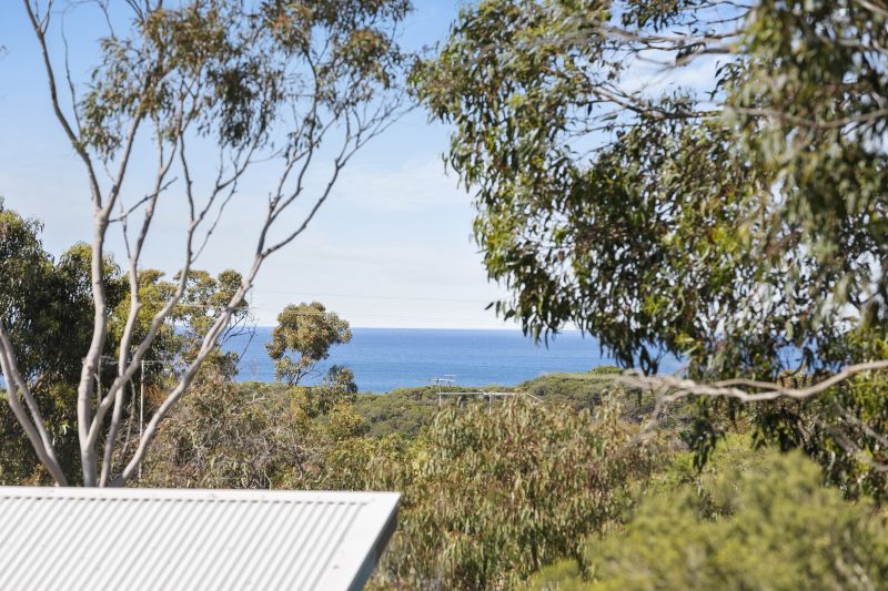 8 Seventh Avenue, Anglesea, VIC, Anglesea - Thumbnail 5