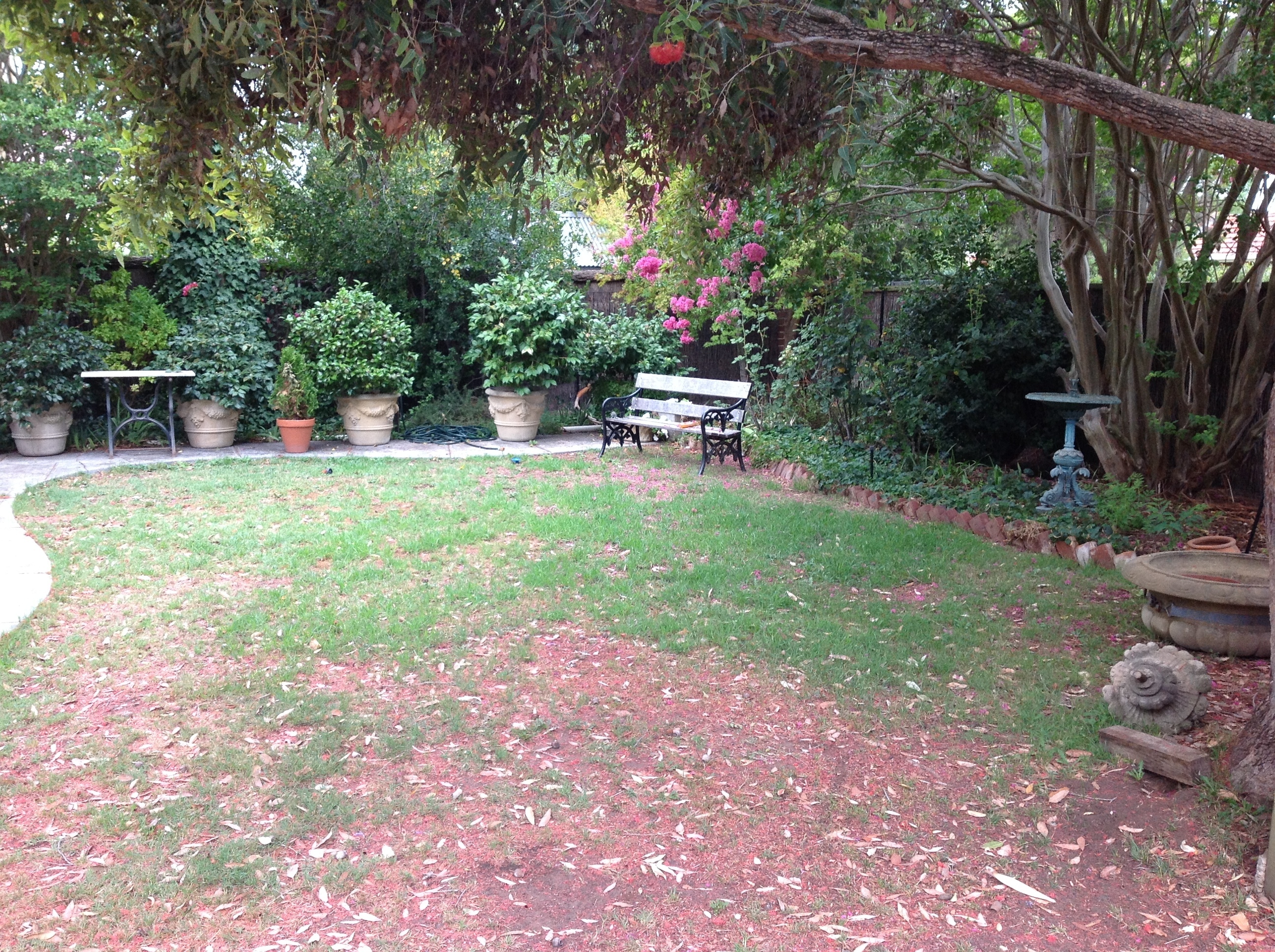 48 Mitchell Street  Millswood 5034