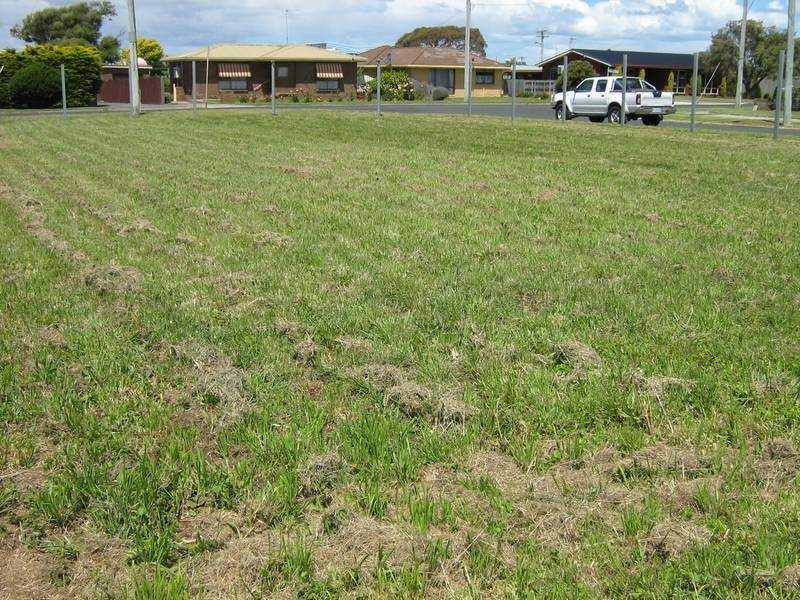 143 Ronald Street, DEVONPORT, Devonport - Thumbnail 5