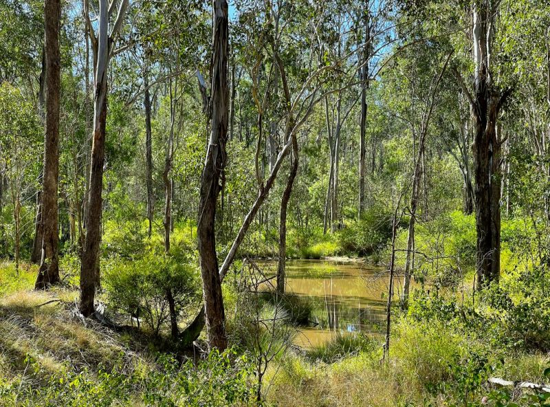 90 Larnook Street, Murphys Creek QLD, Murphys Creek - Thumbnail 4