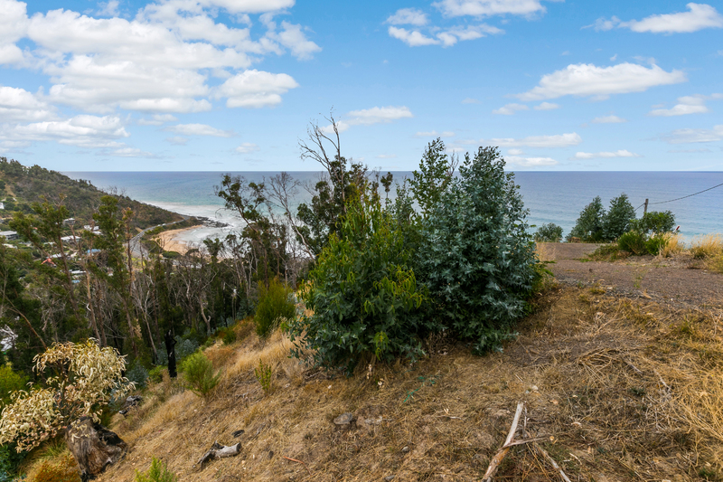 8 Dunoon Road, Wye River, VIC, Wye River - Thumbnail 5