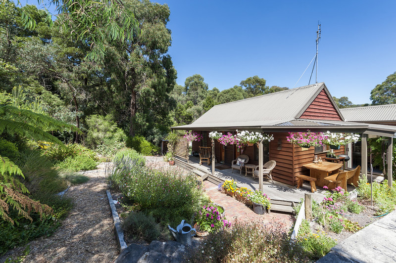 42 Grant Street, Forrest, VIC, Forrest - Thumbnail 2