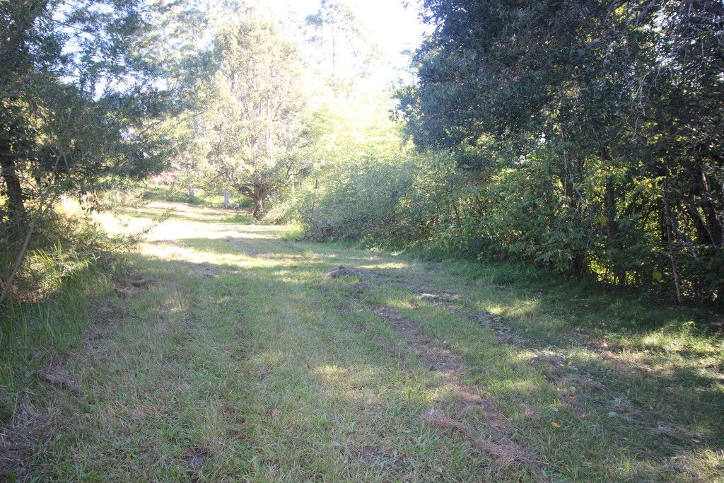 444 Upper Rollands Plains Road, UPPER ROLLANDS PLAINS NSW 2441