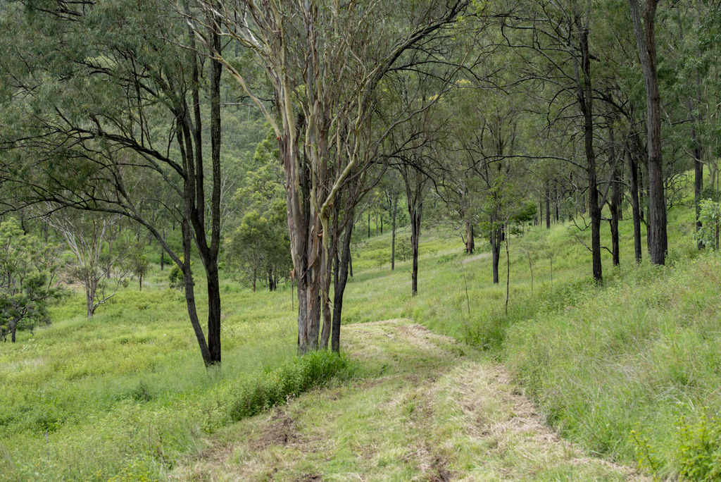 Real Estate For Sale 279 Camp Creek Road Running Creek , QLD