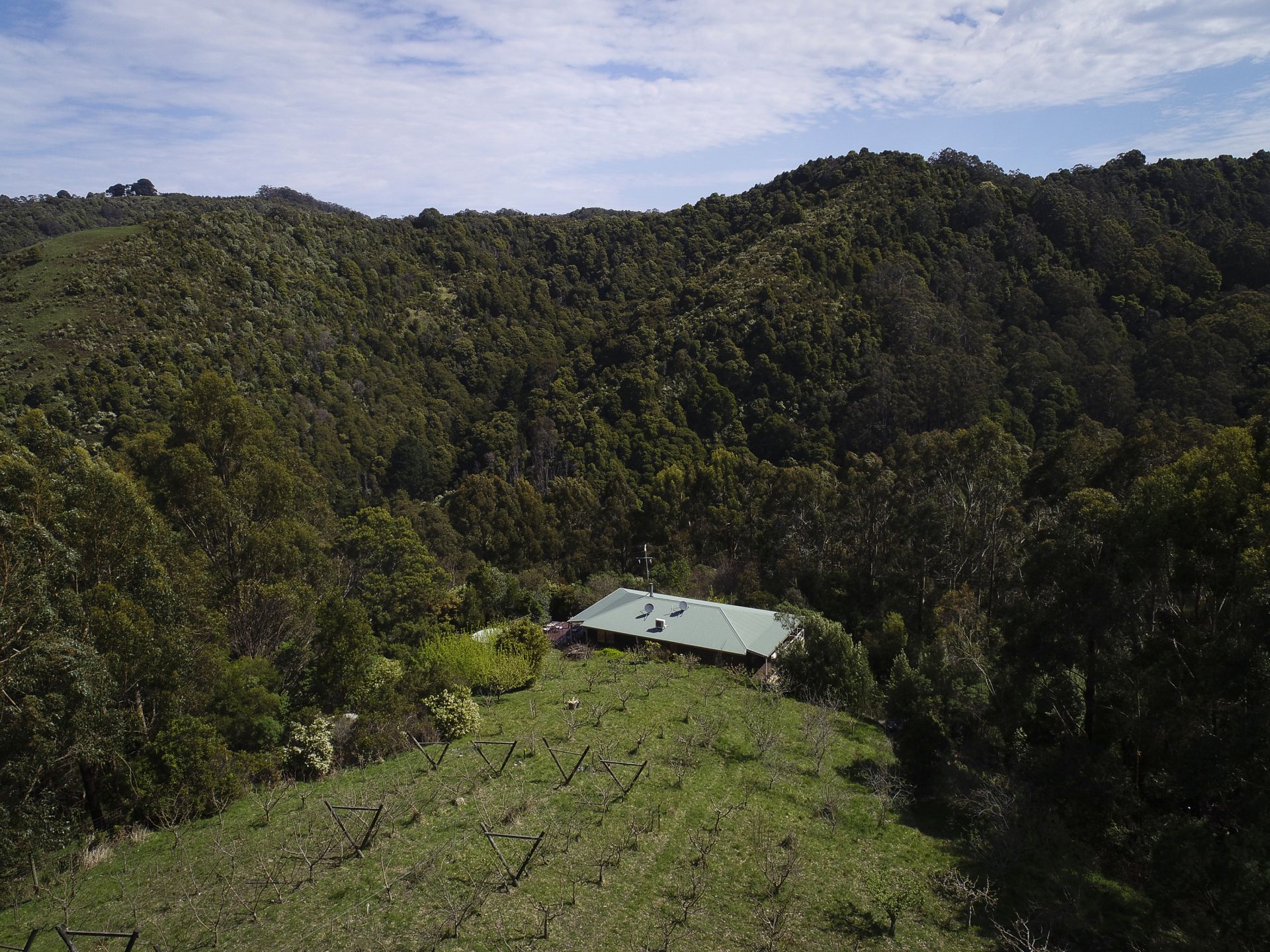 Real Estate For Sale 390 Wild Dog Road Apollo Bay , VIC