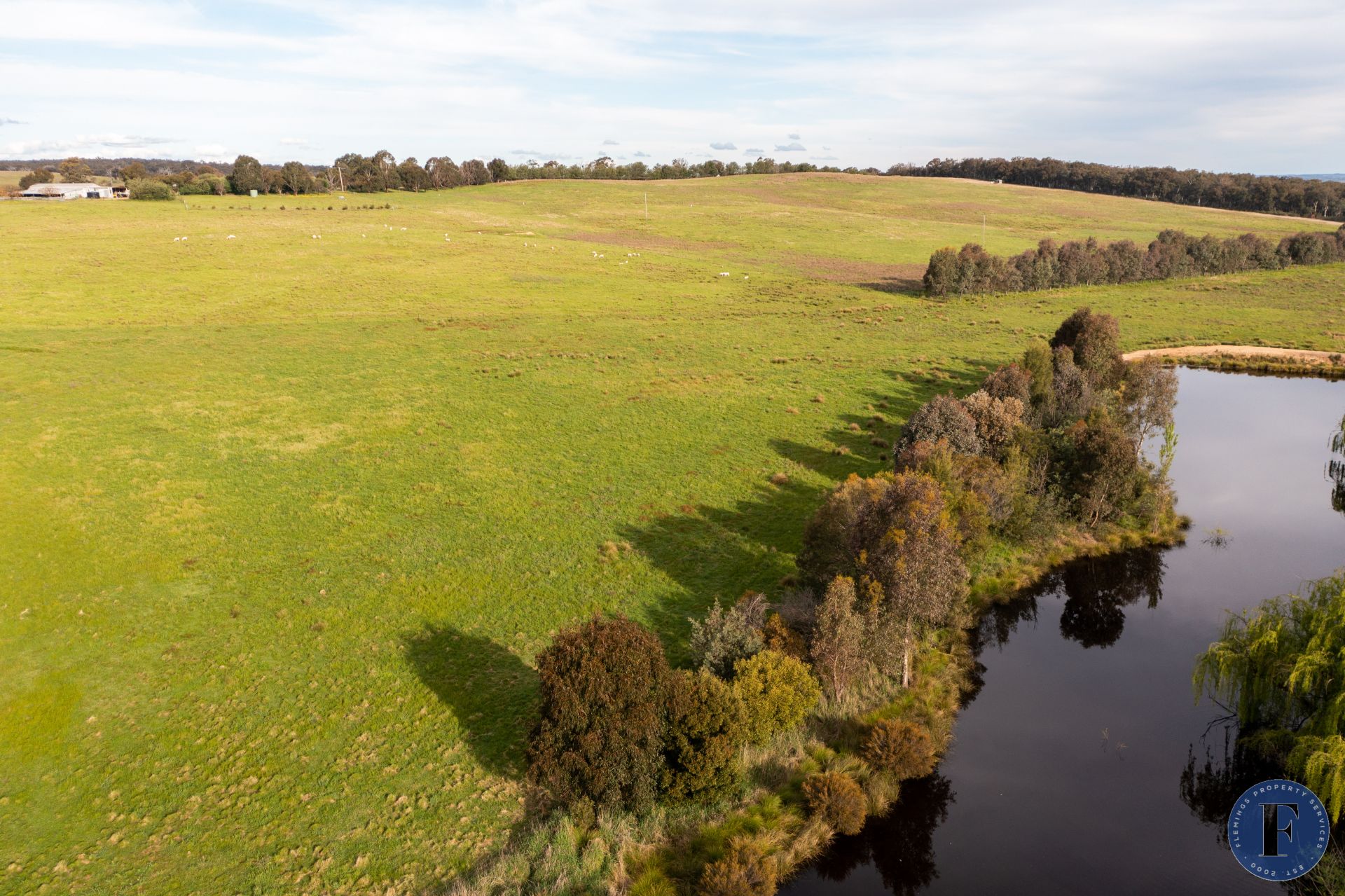 Belview 67 Cains Road, Boorowa NSW, Boorowa - Thumbnail 5