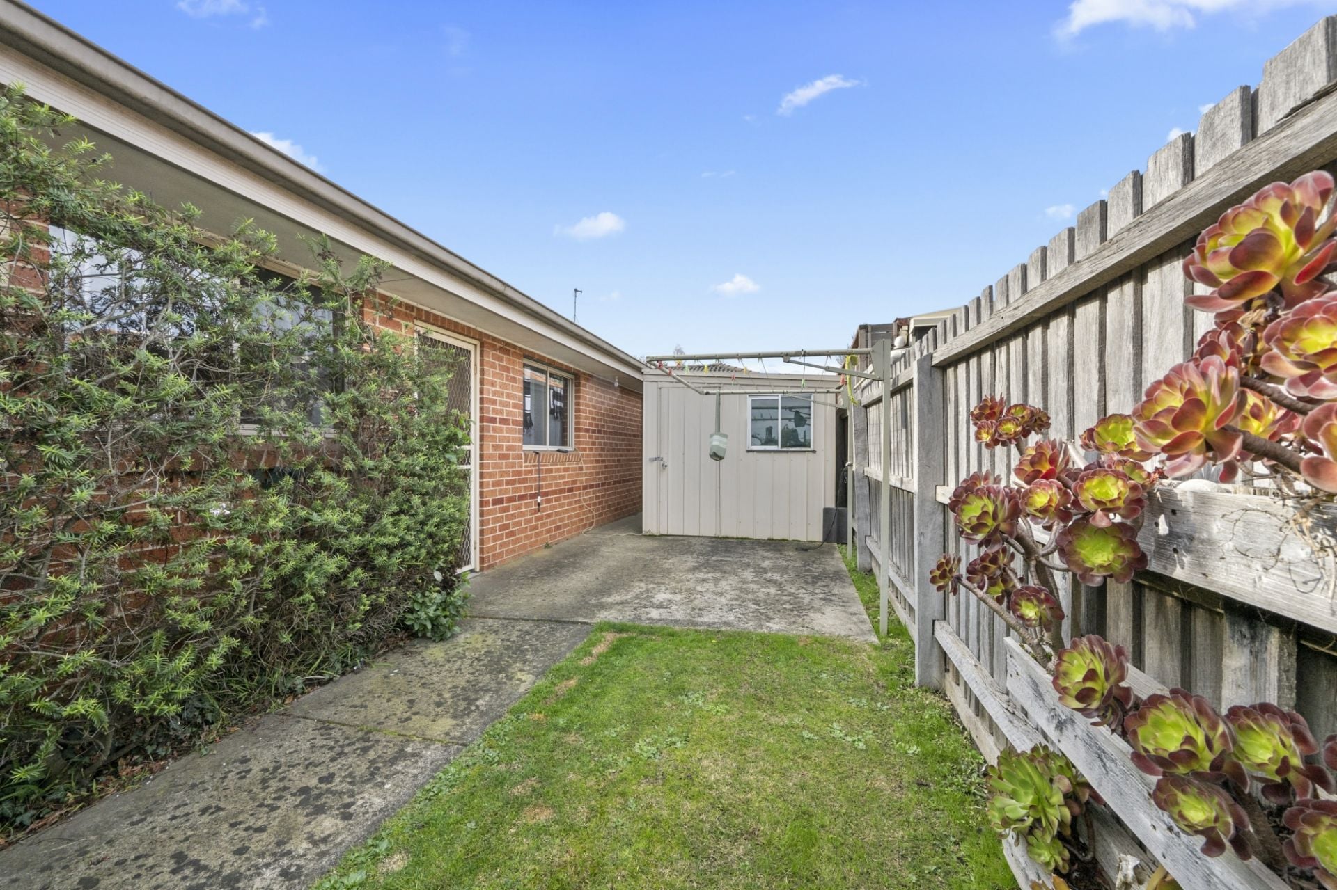 50 Victory Avenue, Alfredton, Alfredton - Thumbnail 3