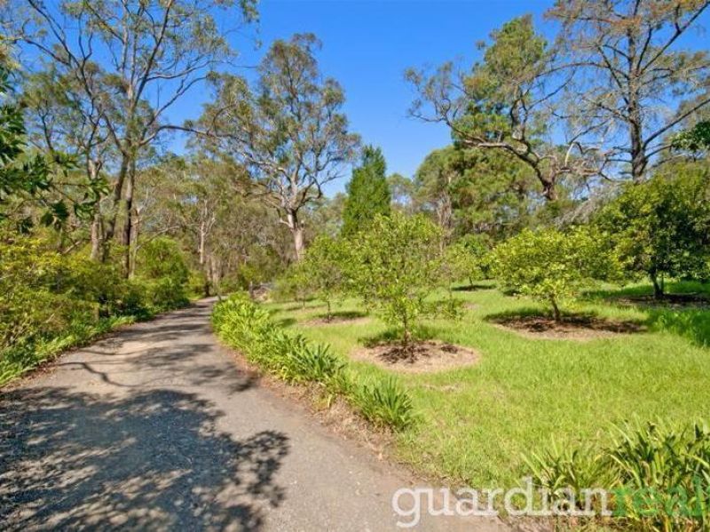 97A Arcadia Road, Arcadia - Thumbnail 8