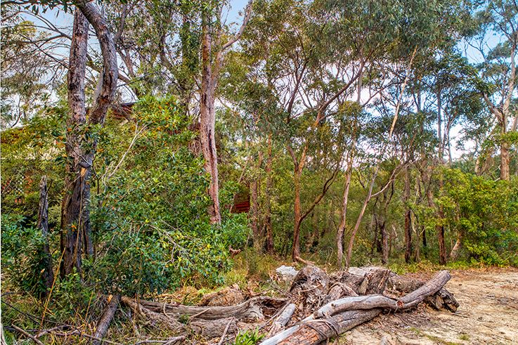 58 Henry Street Lawson 2783