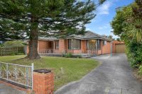 30 Petrie Street, Frankston VIC, Frankston - Image 1