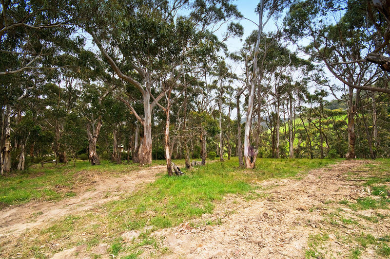 81 Old Coach Road , Skenes Creek, VIC, Skenes Creek - Thumbnail 4