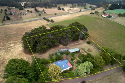 Once in a lifetime opportunity