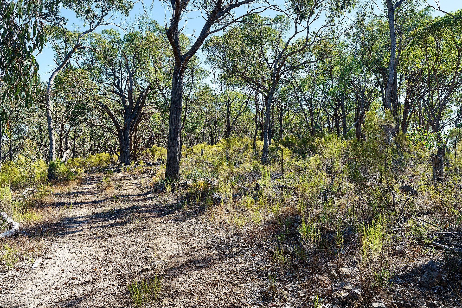 Lot 4/ Mcnutts Lane, Heathcote VIC 3523