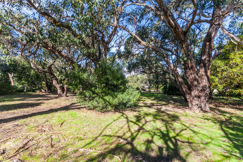 11 Second Avenue, Anglesea, VIC, Anglesea - Thumbnail 5