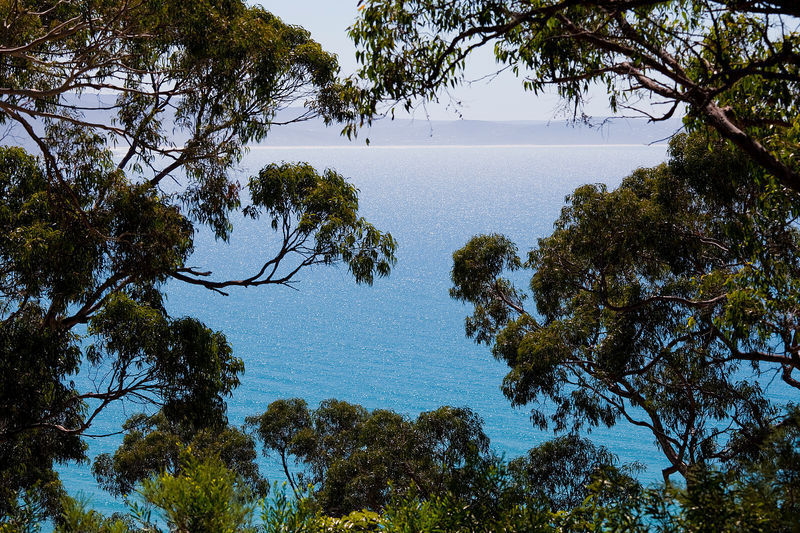 55 George Street, Lorne, VIC, Lorne - Thumbnail 3