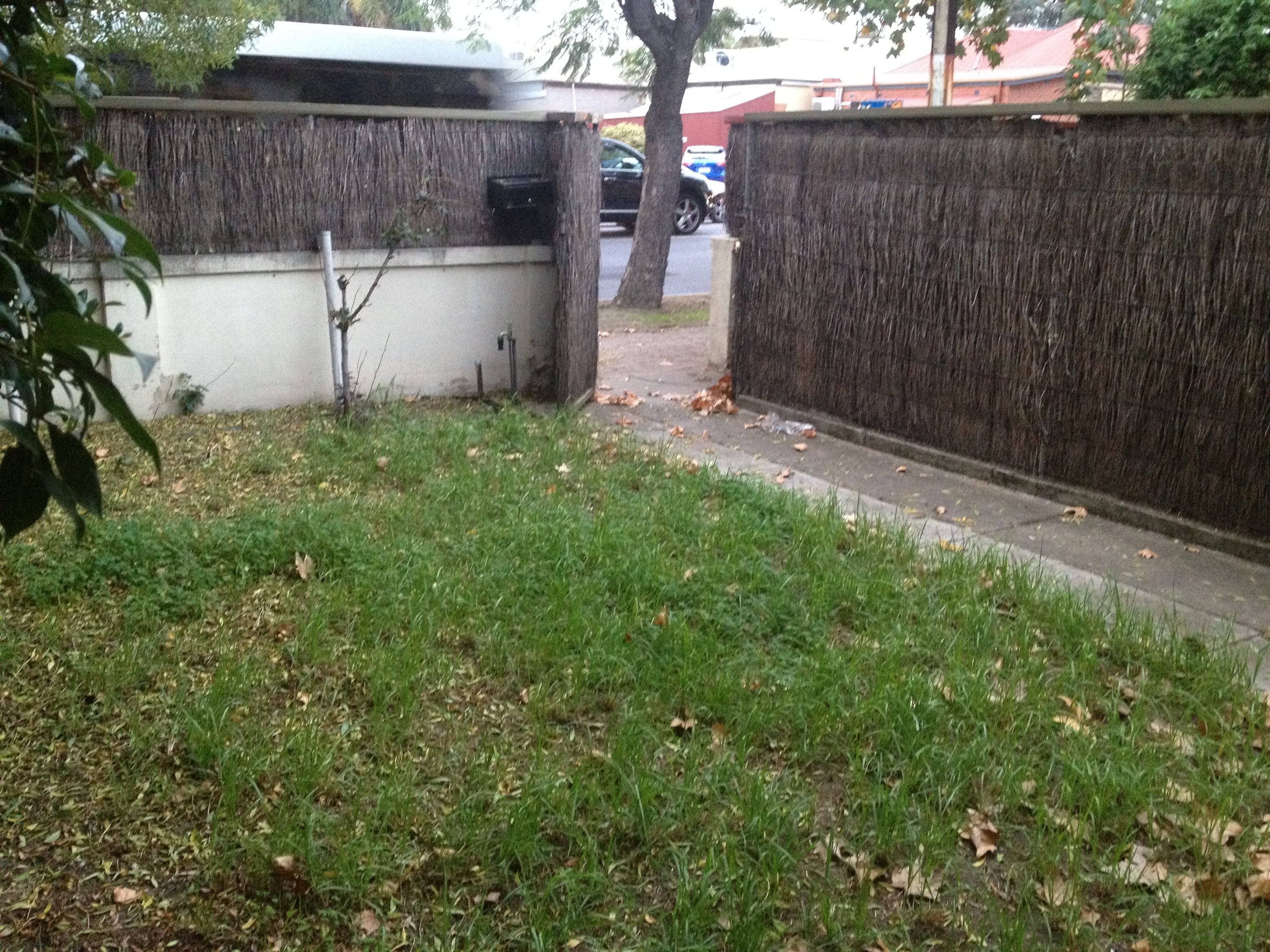 2/50 Flinders Street Kent Town 5067