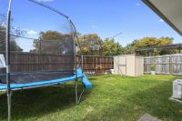 36 Caspian Circuit Mountain Creek QLD, Mountain Creek - Thumbnail 7