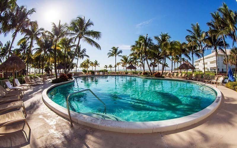 Businesses For Sale Australia Online Business For Sale