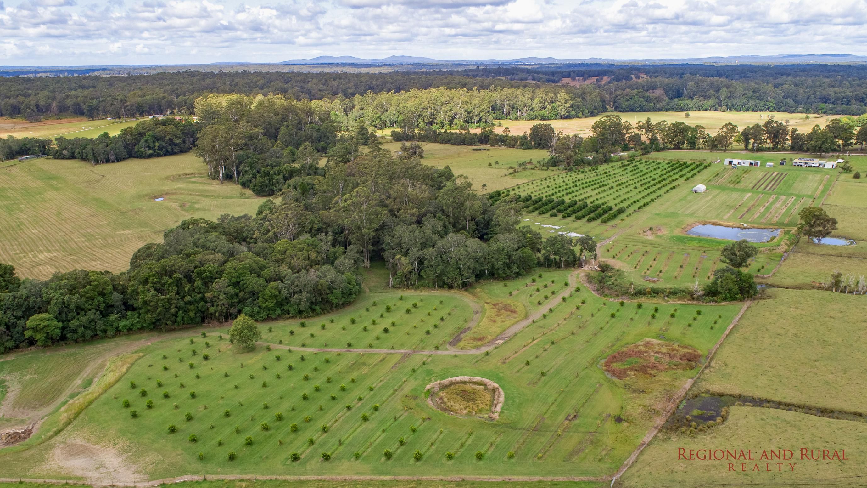 1252 Collombatti Rd, COLLOMBATTI NSW 2440